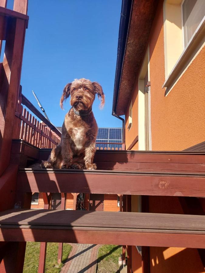 Siedlisko Na Zaciszu Apartamenty Kąty Rybackie Exterior foto